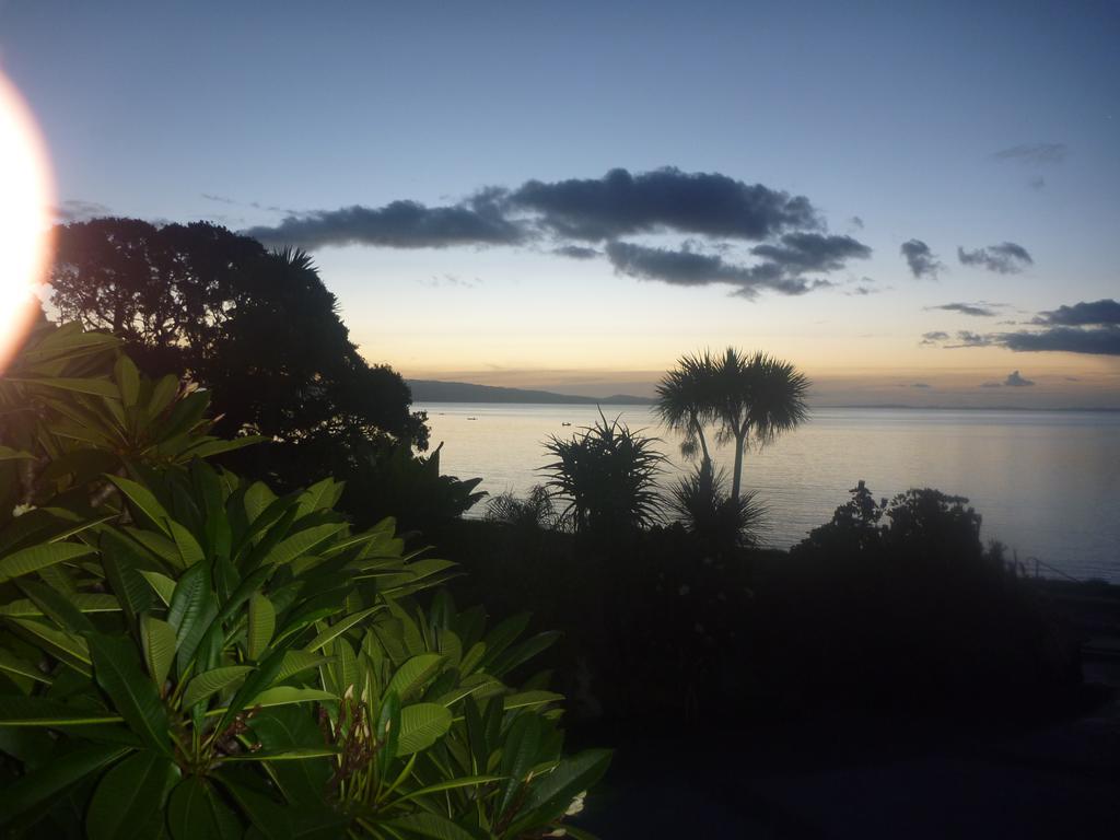 Pohutukawa Coast Bnb Te Puru Exterior photo