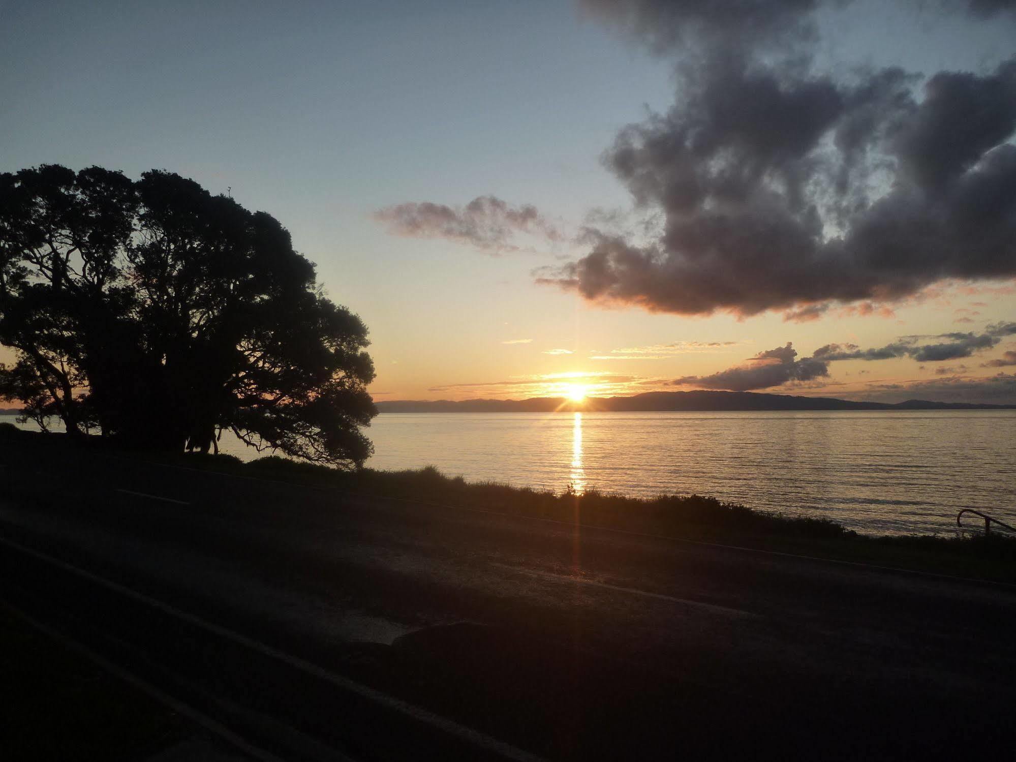 Pohutukawa Coast Bnb Te Puru Exterior photo