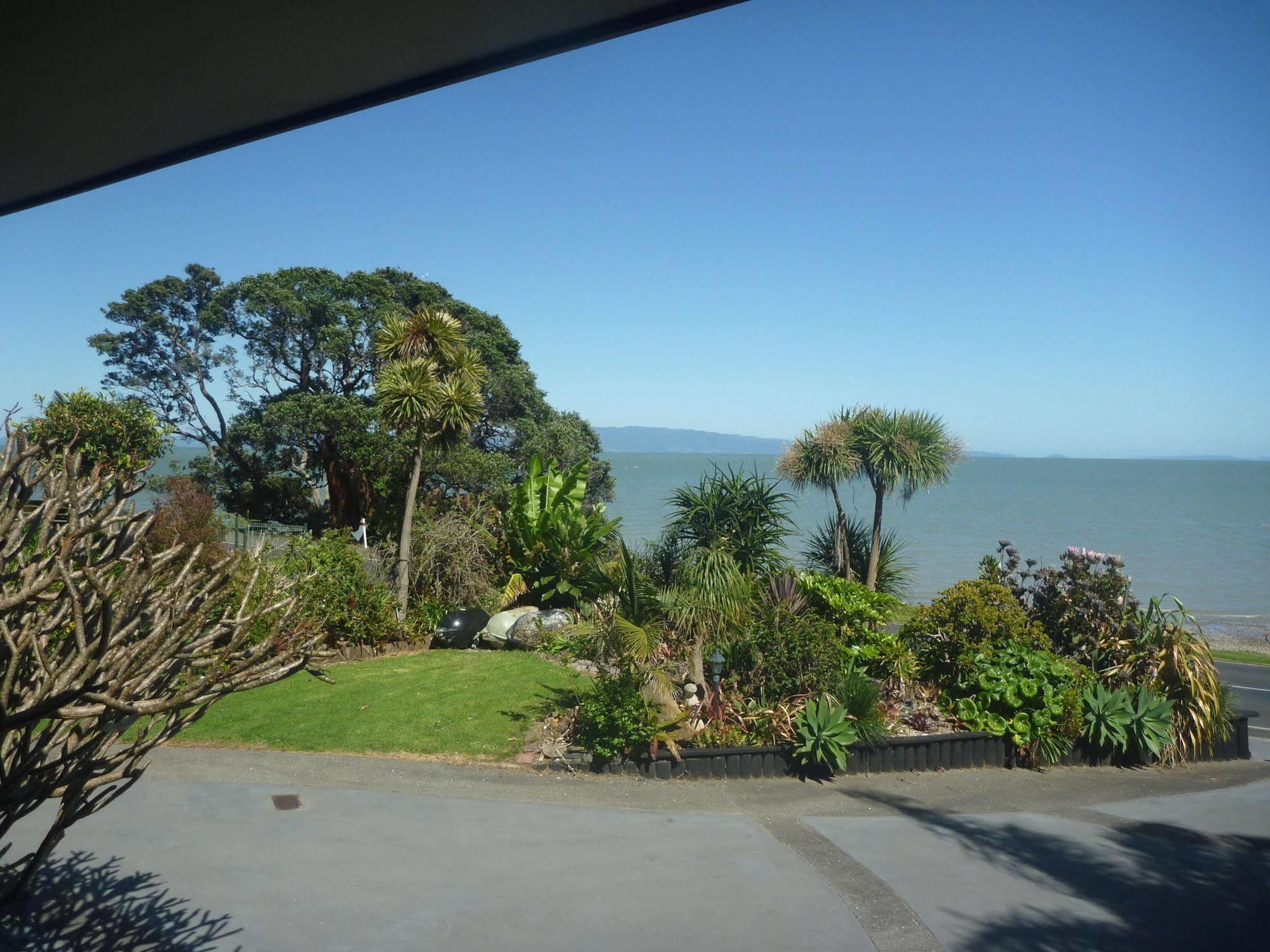 Pohutukawa Coast Bnb Te Puru Exterior photo