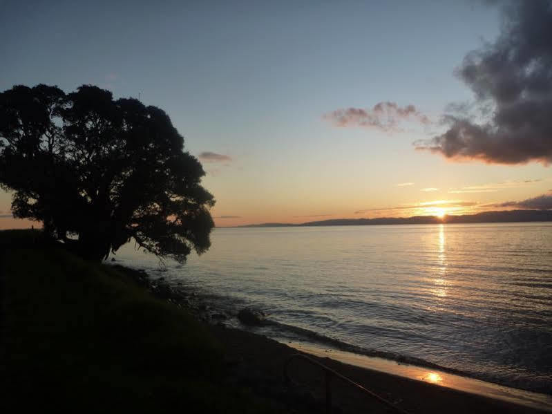 Pohutukawa Coast Bnb Te Puru Exterior photo